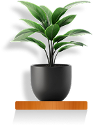 Liberty Book Writing